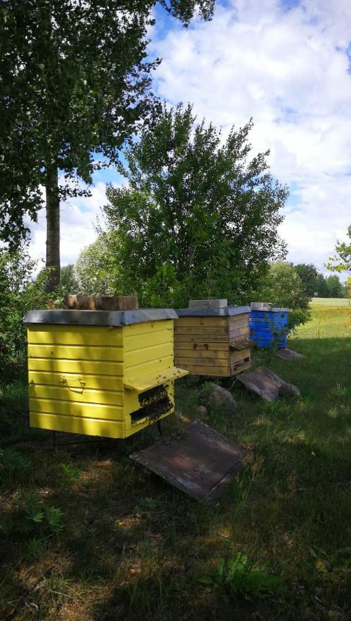 Sodyba Vieversyne Duokiskis Екстериор снимка